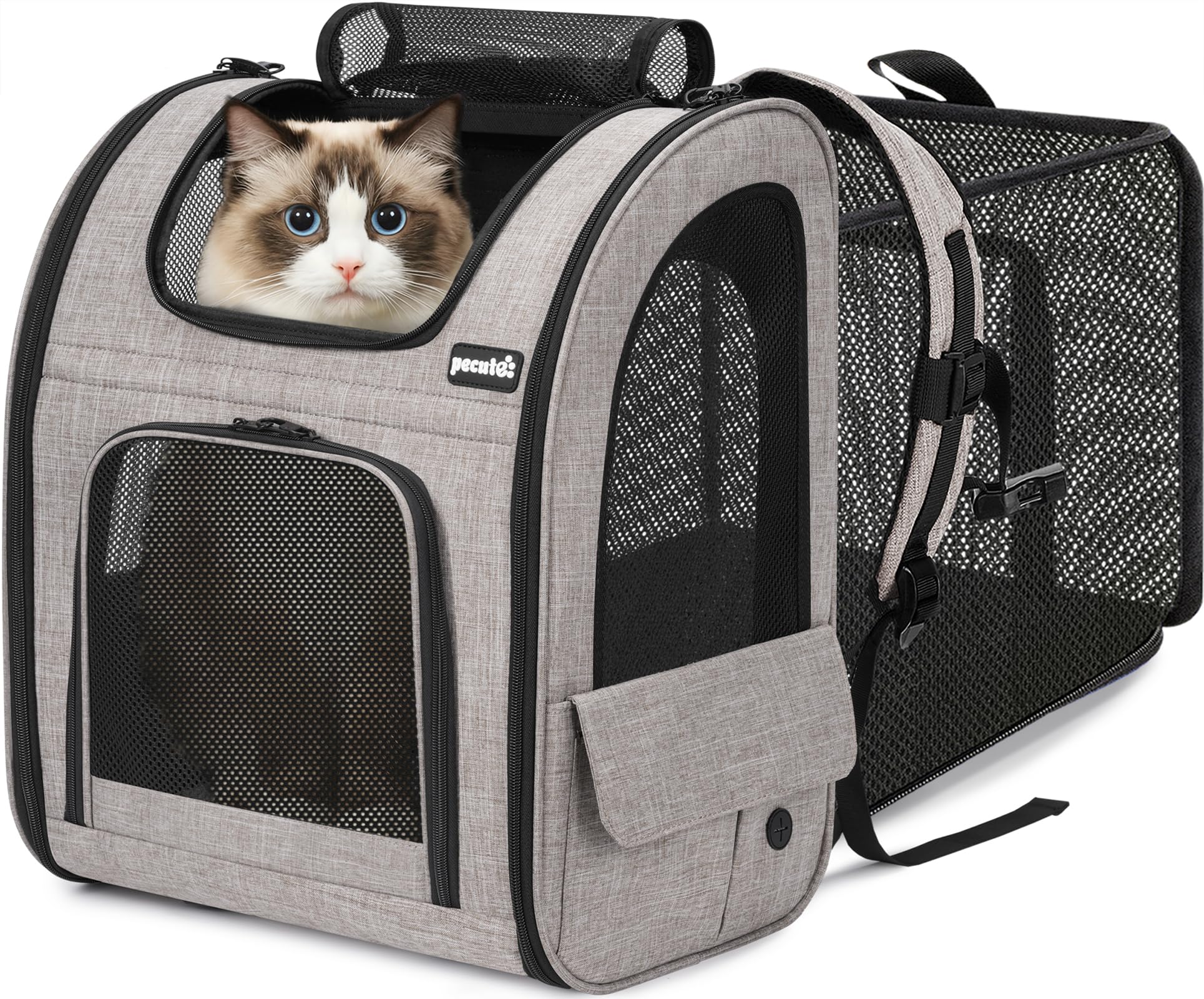 Amazon.co.jp: ペキュート Pecute ペット 猫 キャリーバッグ 猫用 犬用